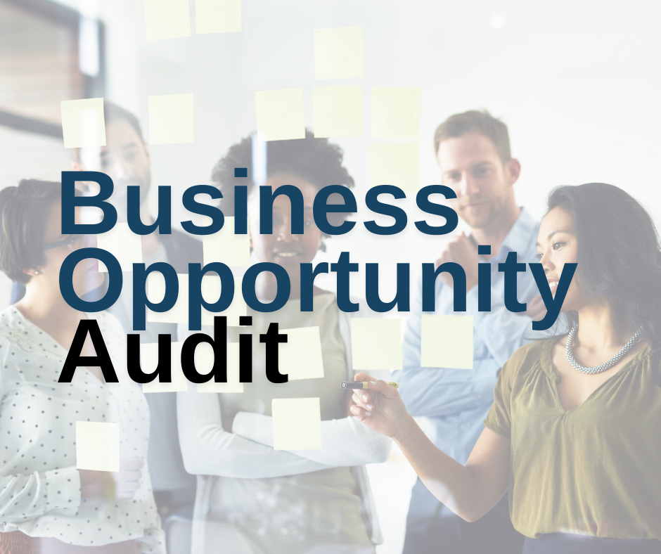 Business Opportunity Audit